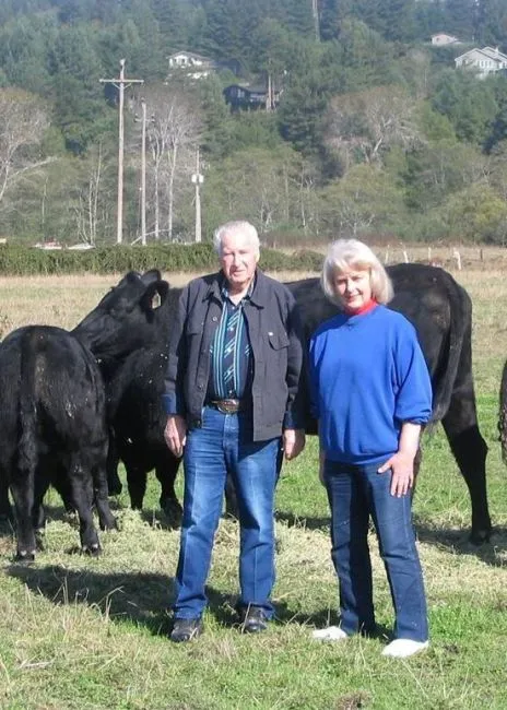 best cattle